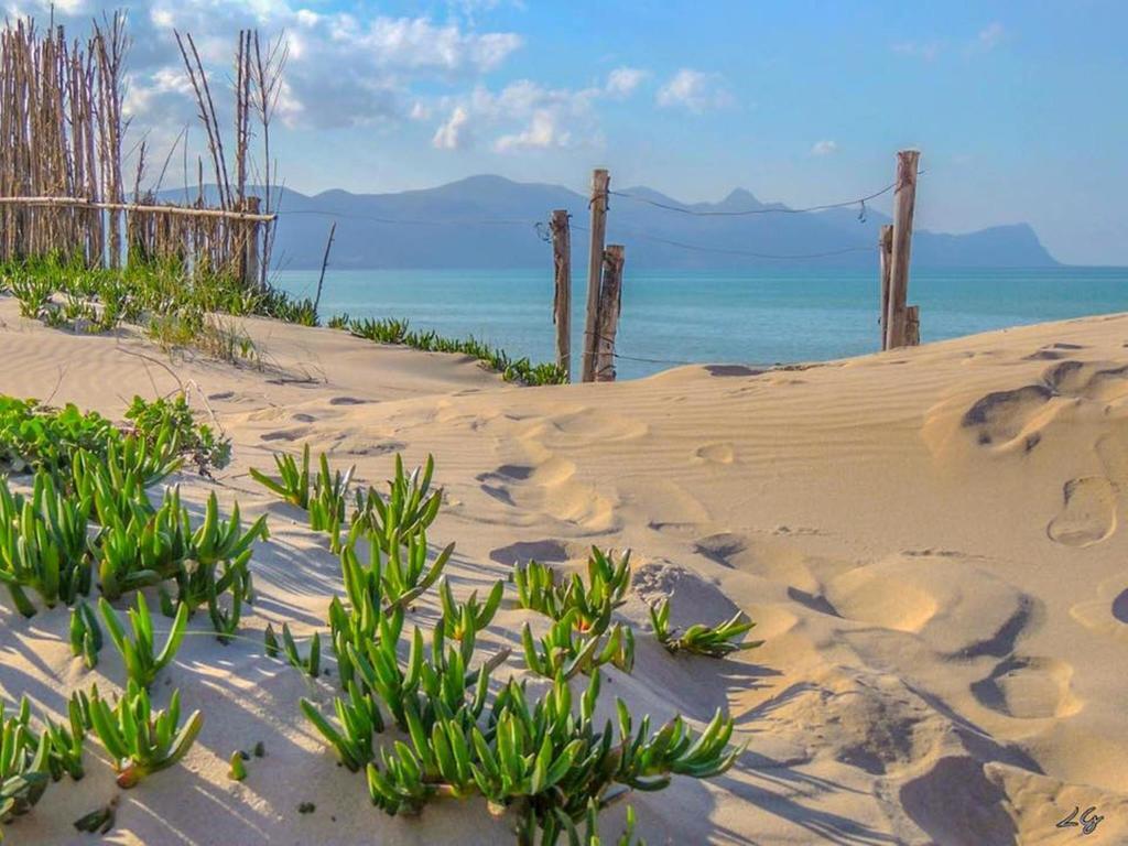 Cento Passi Dal Mare Apartment อัลกาโมมารีนา ภายนอก รูปภาพ